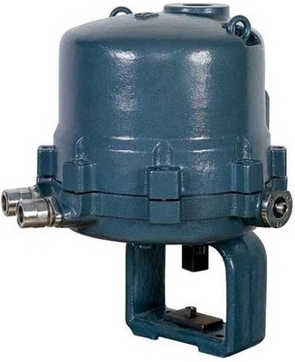 瑞浦3810直行程調(diào)節(jié)型電子式電動(dòng)執(zhí)行器生產(chǎn)廠家