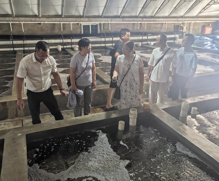科技賦能，綠色養殖 福建科特派攜手霞浦企業推動海參產業鏈升級與室內環境治理