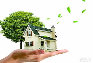 蘇州醛盾環保 專業守護車內與室內空氣健康，打造清新呼吸環境